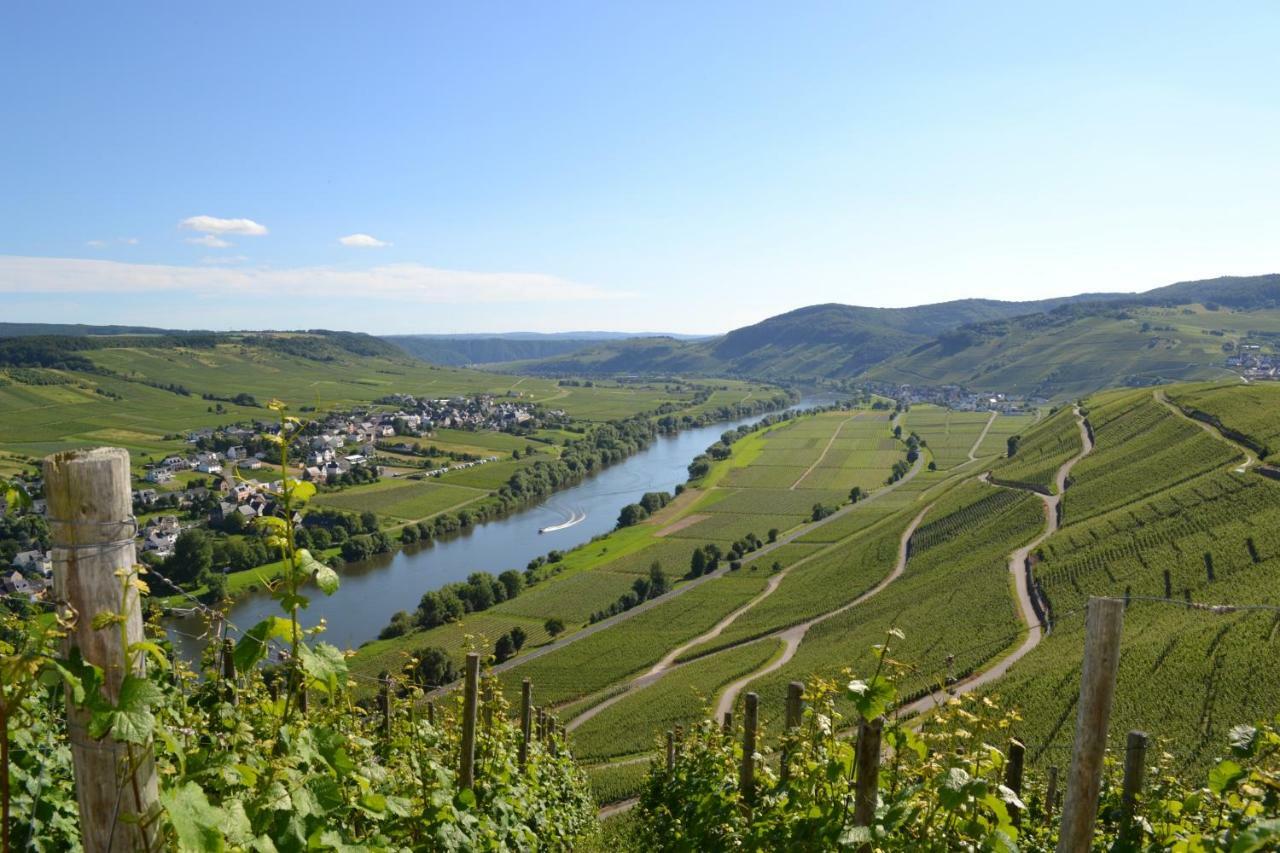 Gaestehaus Weingut Mathy-Schanz Osann-Monzel Exterior photo