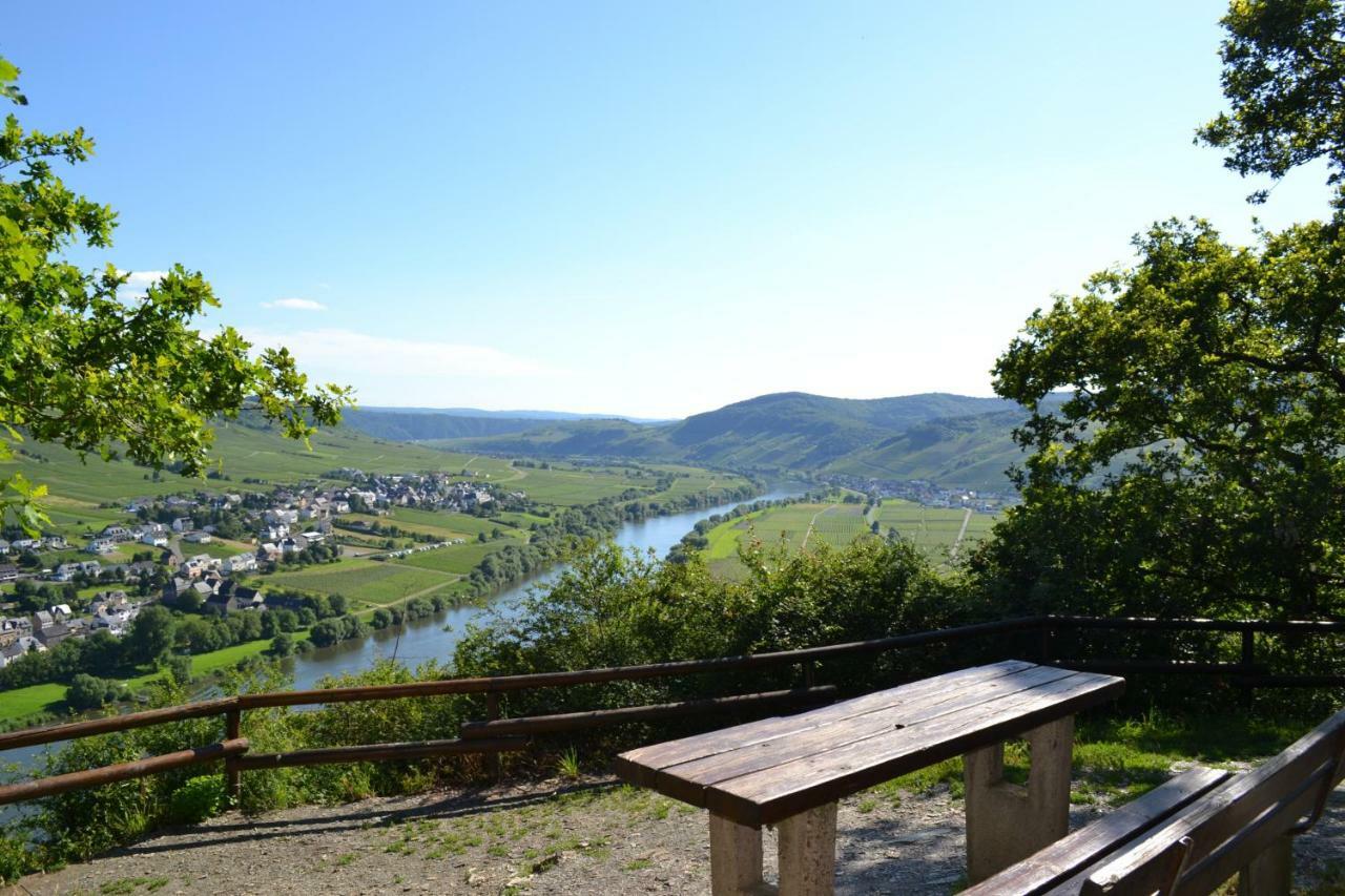 Gaestehaus Weingut Mathy-Schanz Osann-Monzel Exterior photo